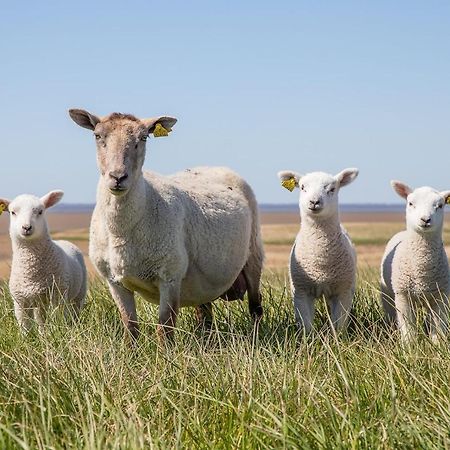 Ferienwohnung Rieke Norddeich  Zewnętrze zdjęcie